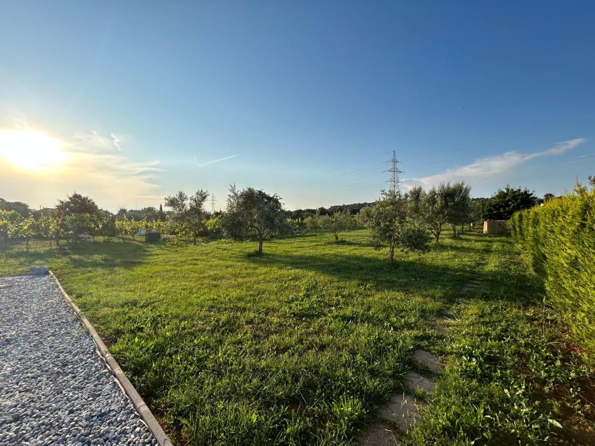فيلا Dora House With Wifi And Outdoor Swimming Pool بولا المظهر الخارجي الصورة